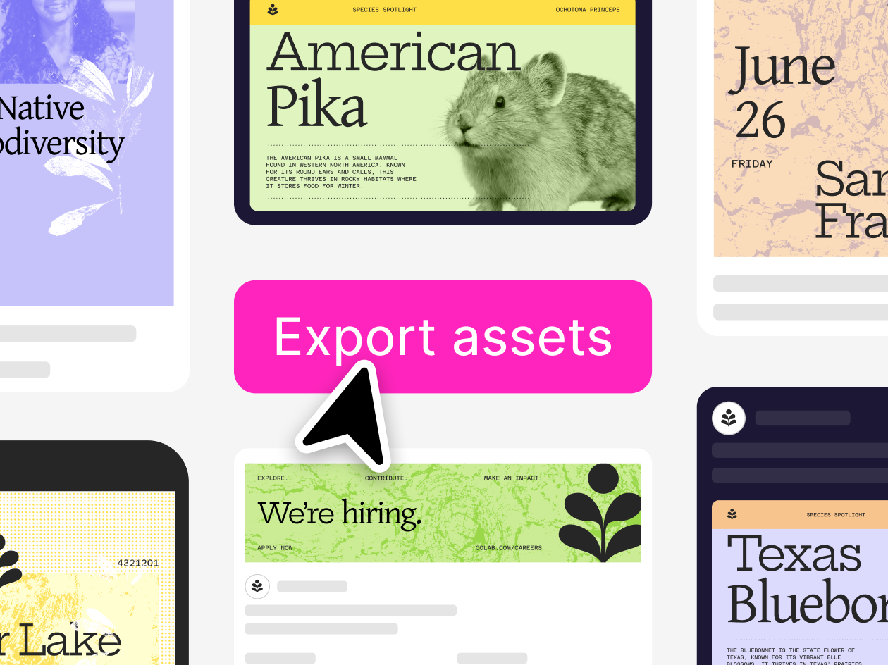 Multiple assets surrounding button to "Export assets"